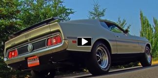 most popular mustangs brothers collection