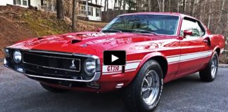 red and white 1969 shelby gt350 mustang