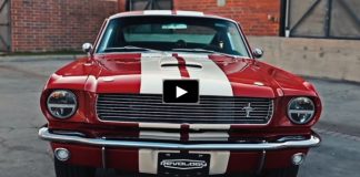 candy apple red 1966 shelby gt350 mustang