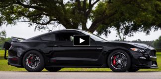 fastest shelby mustang in the world