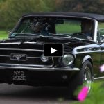 triple_black_classic_mustangs