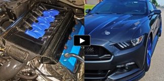 procharged 2015 mustang gt 5.0