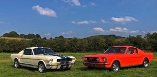 classic fastback mustangs video