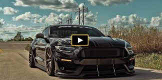 andrea gee custom mustang gt