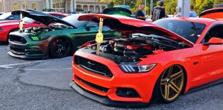 hottest mustangs 2019 mustang week video