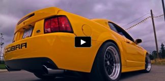 modified 2004 cobra terminator mustang