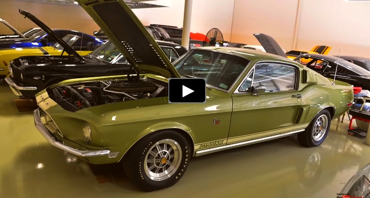 largest ford mustang collections