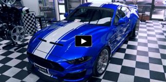 modern widebody mustangs