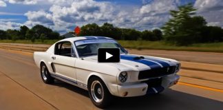 drive 1966 shelby gt350r