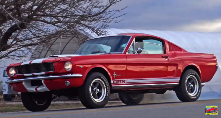 classic ford mustangs video