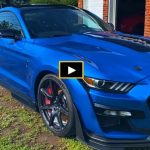 2020_shelby_gt500_performance_package