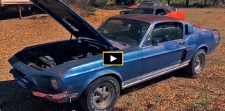 unrestored 1968 shelby gt500 kr mustang