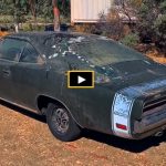 dodge_charger_500_options