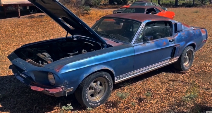 barn find 1968 shelby gt500 kr