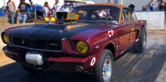 ford mustang gasser snake bite