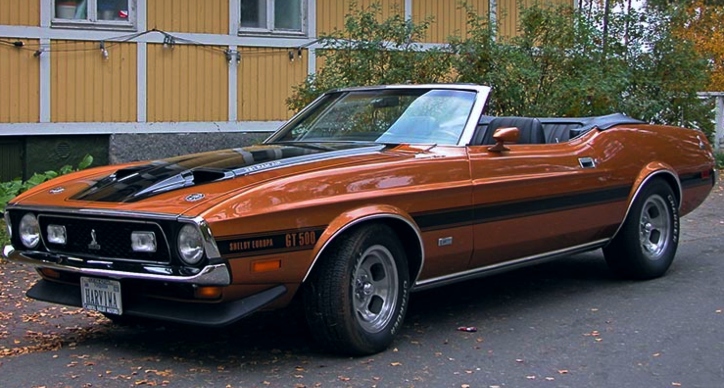 rare 1971 shelby mustangs