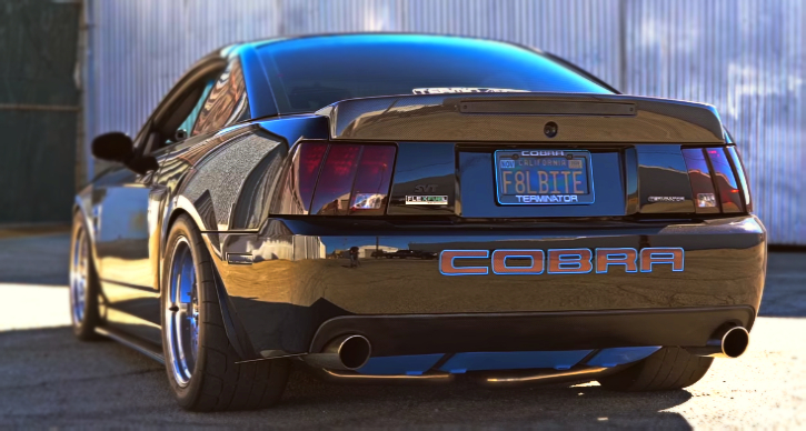 2003 cobra terminator mustang build