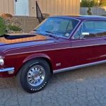 rare_cobra_jet_classic_mustangs