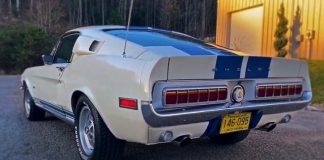 1968 shelby gt350 hertz rent a racer