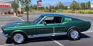 1967 mustang fastback 428 cobra jet