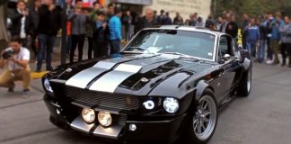 shelby gt500 burnout