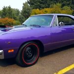 in_violet_plymouth_road_runner