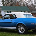 convertible_classic_shelby_mustangs