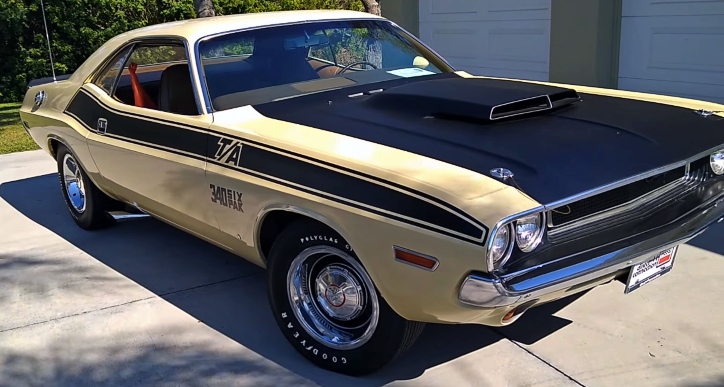 1970 dodge challenger t/a survivor