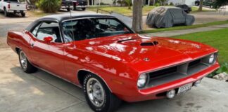 1970 plymouth cuda survivor