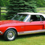 rare_classic_shelby_mustangs