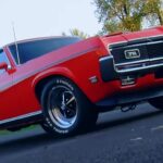competition_orange_cougar_eliminator