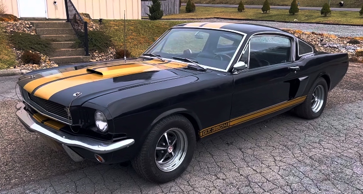 real 1966 shelby gt350 hertz rent a racer