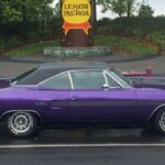 in_violet_fc7_plymouth_gtx