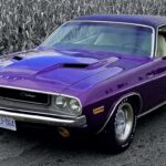 canadian_plum_crazy_purple_1970_challenger