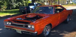 a12 dodge super bee survivor