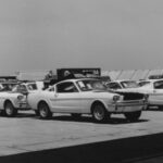 first_1966_shelby_mustangs