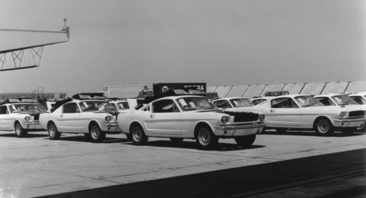 1966 sheby gt350 mustang carryover