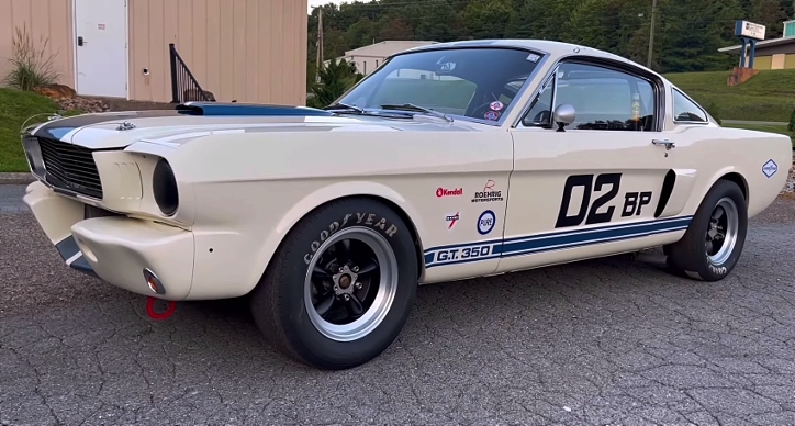 1966 sheby gt350 mustang carryover