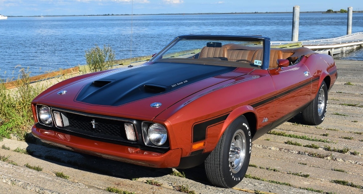 special convertible 1973 ford mustangs