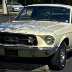 The_Ghost_1967 Mustang