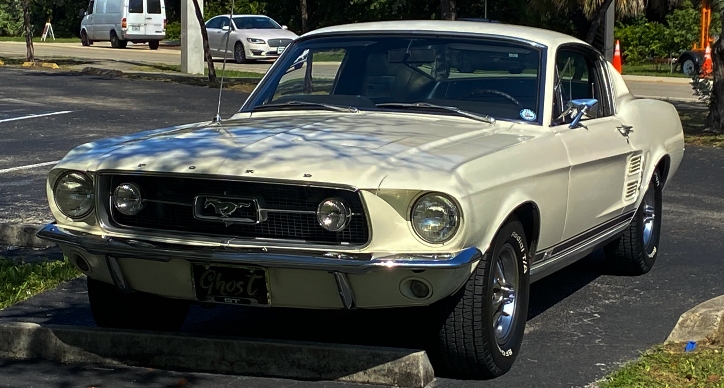 1967 mustang fastback gt survivor