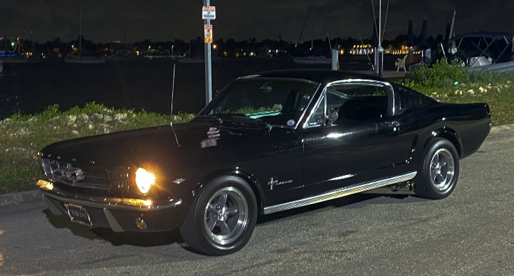 Rob Staple mustang fastback