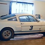 1966 carryover shelby gt350